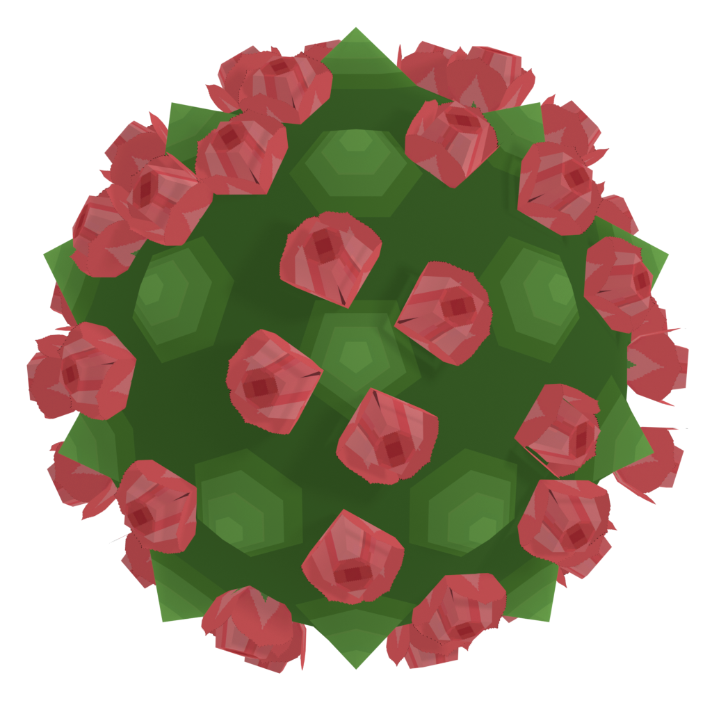 26rose_2