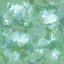 foret_cimes foret_cimes