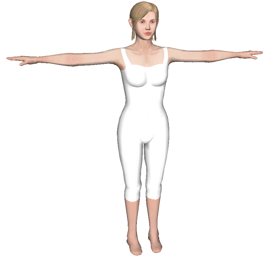 Wiifitplus_realistictrainer.png