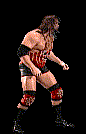 wwfwrestarc-A4BC3A.gif