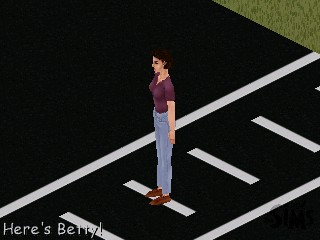 Ts1_simwebcam041.png Ts1_simwebcam041.png