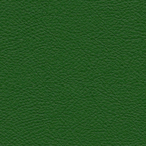 Zt_reading_leather_diff1.png