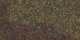 DungeonSiege-b_t_for02_pth_08x04-c.png