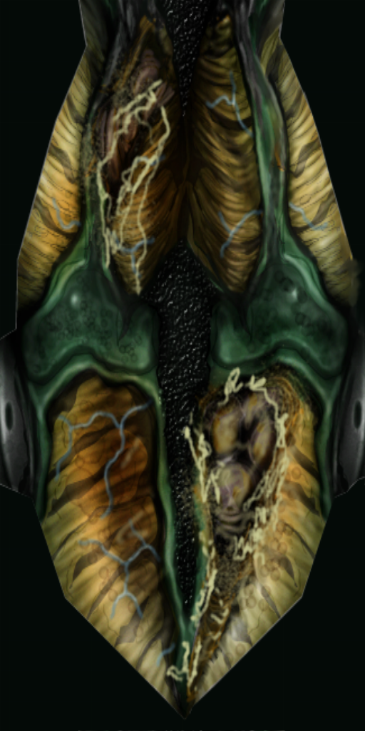 M_Body1.tga M_Body1.tga