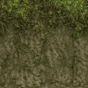 TFA2004_amazon2Level_JUNGLE_RIVER_FOLIAGE.png