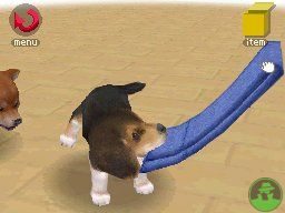 NintendogsJanuary2005Screenshot11.jpg NintendogsJanuary2005Screenshot11.jpg