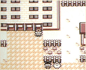 PKMN_GS_Unknown_1_screenshot_3.png