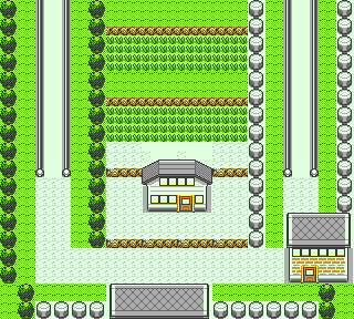 PokemonGSC_ROAD5.FLD_later.png