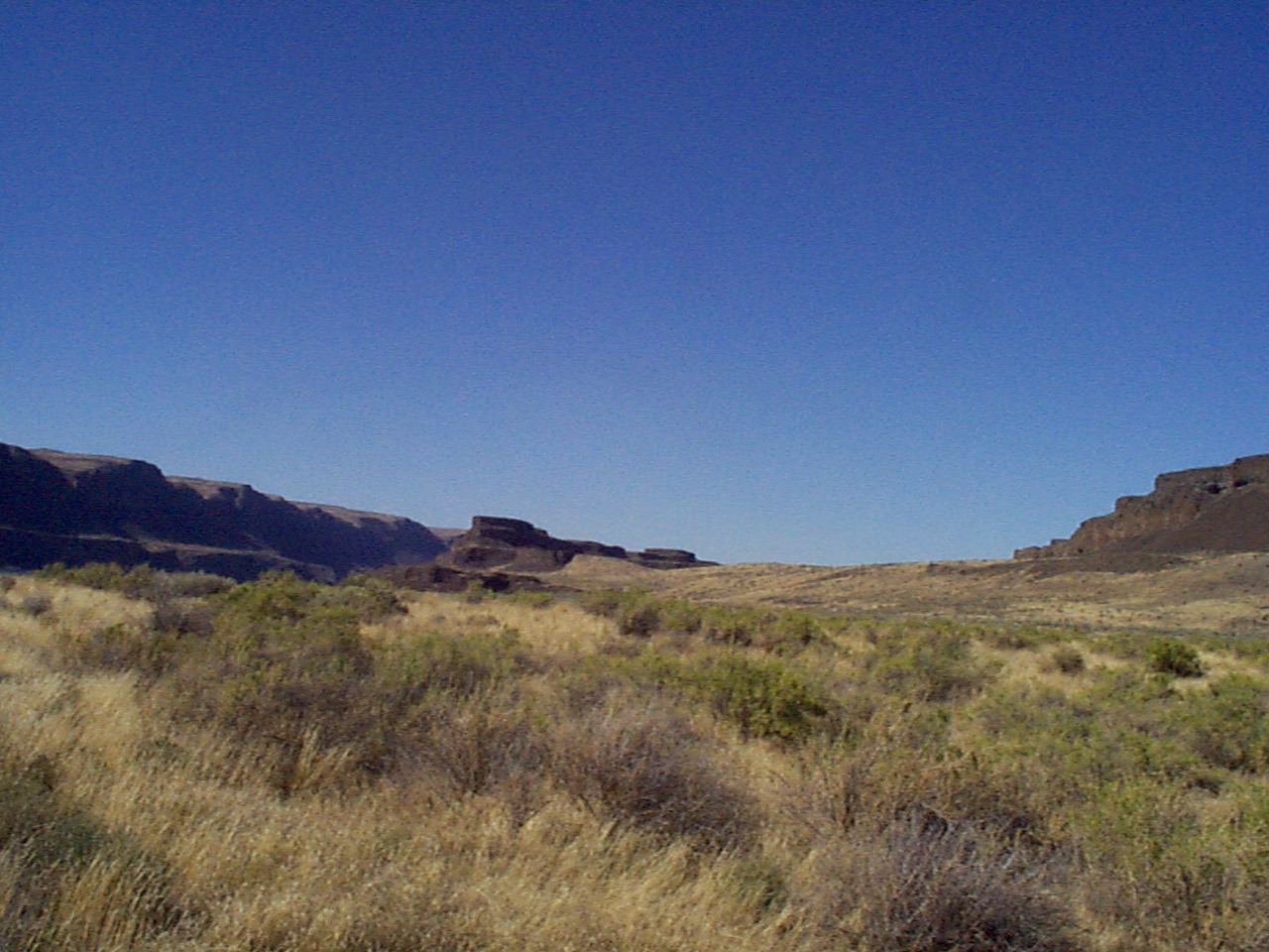 desert17 desert17