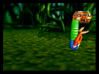 DK64-Hidden_Collectible.png DK64-Hidden_Collectible.png
