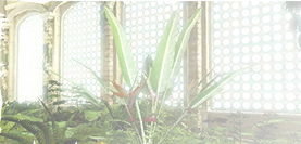 FETH_Greenhouse_Upkeep_unused.png
