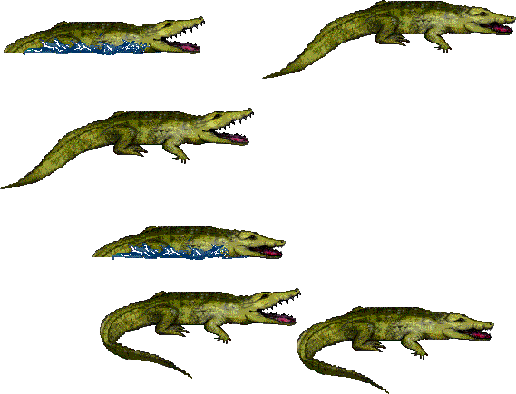 GiggleGangWT_PokeProd_EgyptCrocodile.png GiggleGangWT_PokeProd_EgyptCrocodile.png