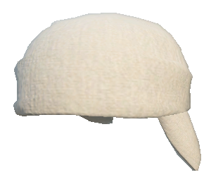 S2_Hed_COP107.png