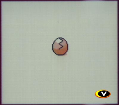 PKMN_GS_videogames.com_screenshot_5.jpg