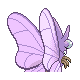 PokeDP_Development_BattleSprite_Mar26_Back_M49.png PokeDP_Development_BattleSprite_Mar26_Back_M49.png