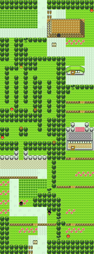 Pokemon_GS_Final_Route_2.png
