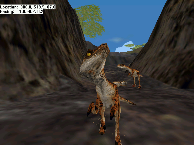 Friendly raptors; a rare sight. Friendly raptors; a rare sight.