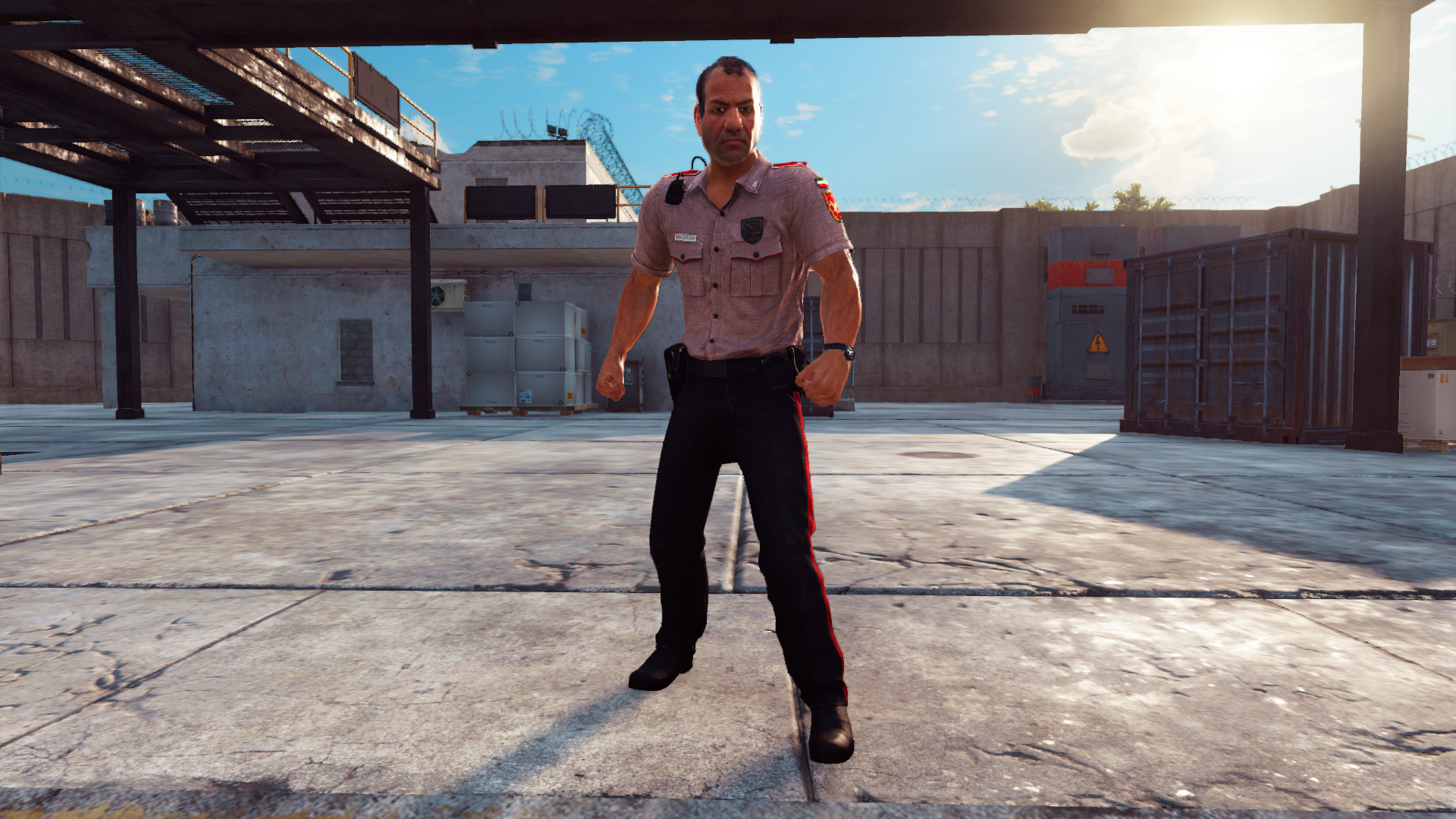 The unused police officer NPC.