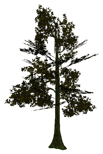 tree_jungle_05.mdl, submodel 2. tree_jungle_05.mdl, submodel 2.