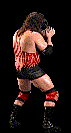 wwfwrestarc-A3AE2A.gif