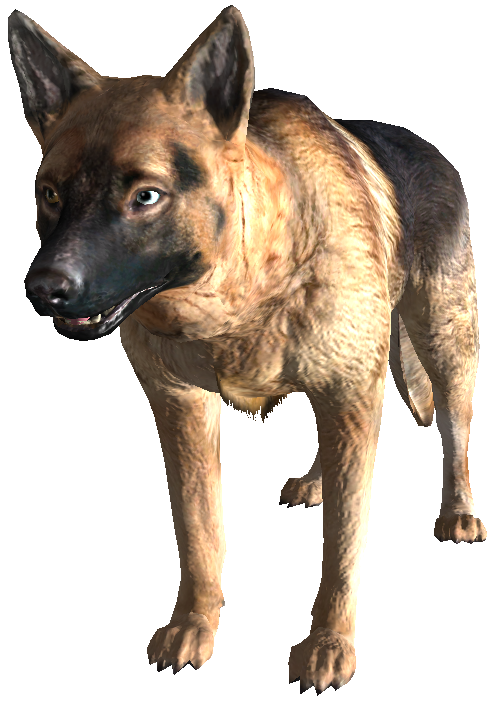 FO3DogDad.png FO3DogDad.png