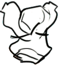 CROB_Hoodie_3.png