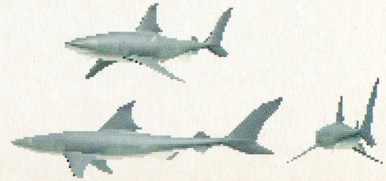 Early 2D shark graphics that were likely obsolete even at this stage of development