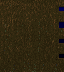 W11_2 W11_2