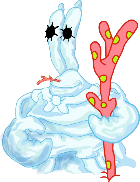 SpongeBob_SnowPants-image_156.png