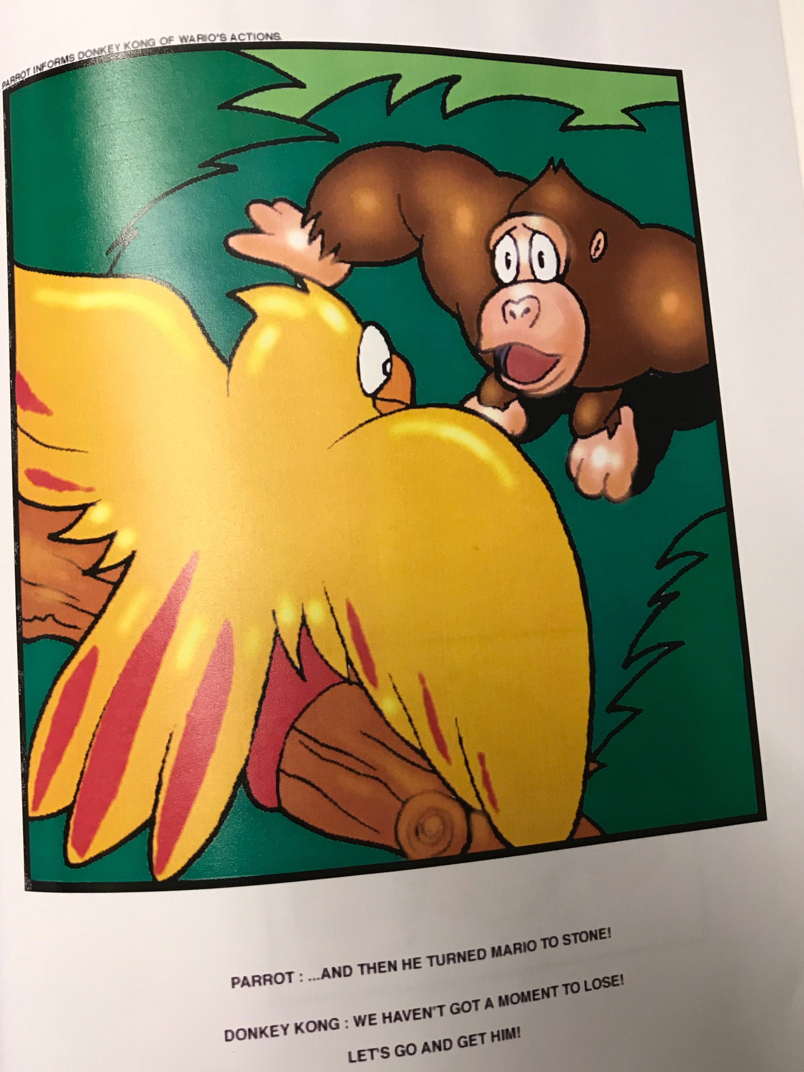 DKCVsWarioStoryBoard3.jpg DKCVsWarioStoryBoard3.jpg