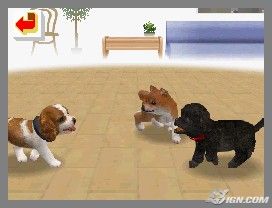 NintendogsFebruary2005Screenshot25.jpg NintendogsFebruary2005Screenshot25.jpg