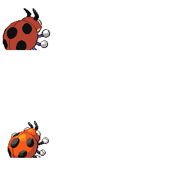 PlatSVN_pmdp_165_back_m.png