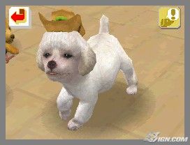 NintendogsFebruary2005Screenshot28.jpg NintendogsFebruary2005Screenshot28.jpg