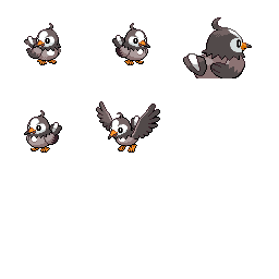 pmpl_429_frnt_m_r2294.png pmpl_429_frnt_m_r2294.png