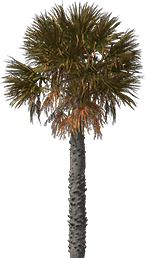 tree2 tree2