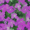 small_purple_flowers_on_green small_purple_flowers_on_green