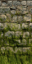 CSCZ--0CastWllFung.png CSCZ--0CastWllFung.png