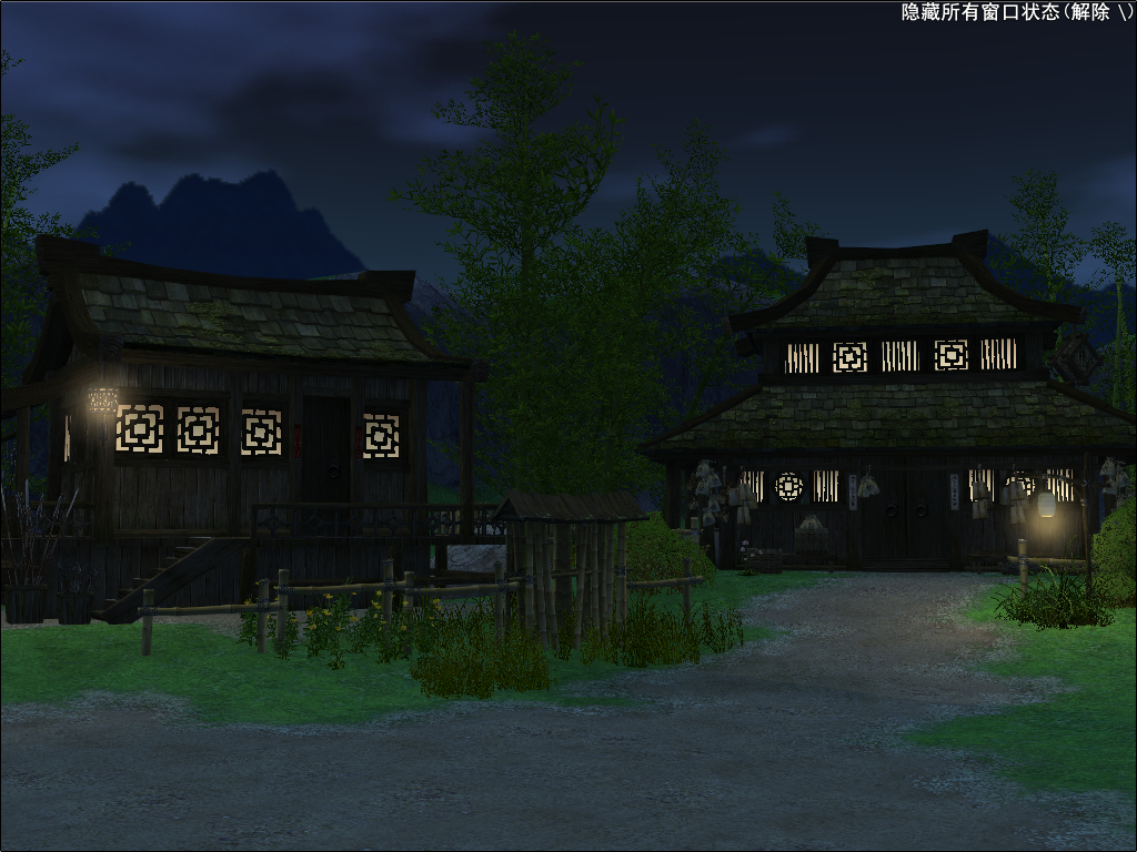 The town at night. The town at night.