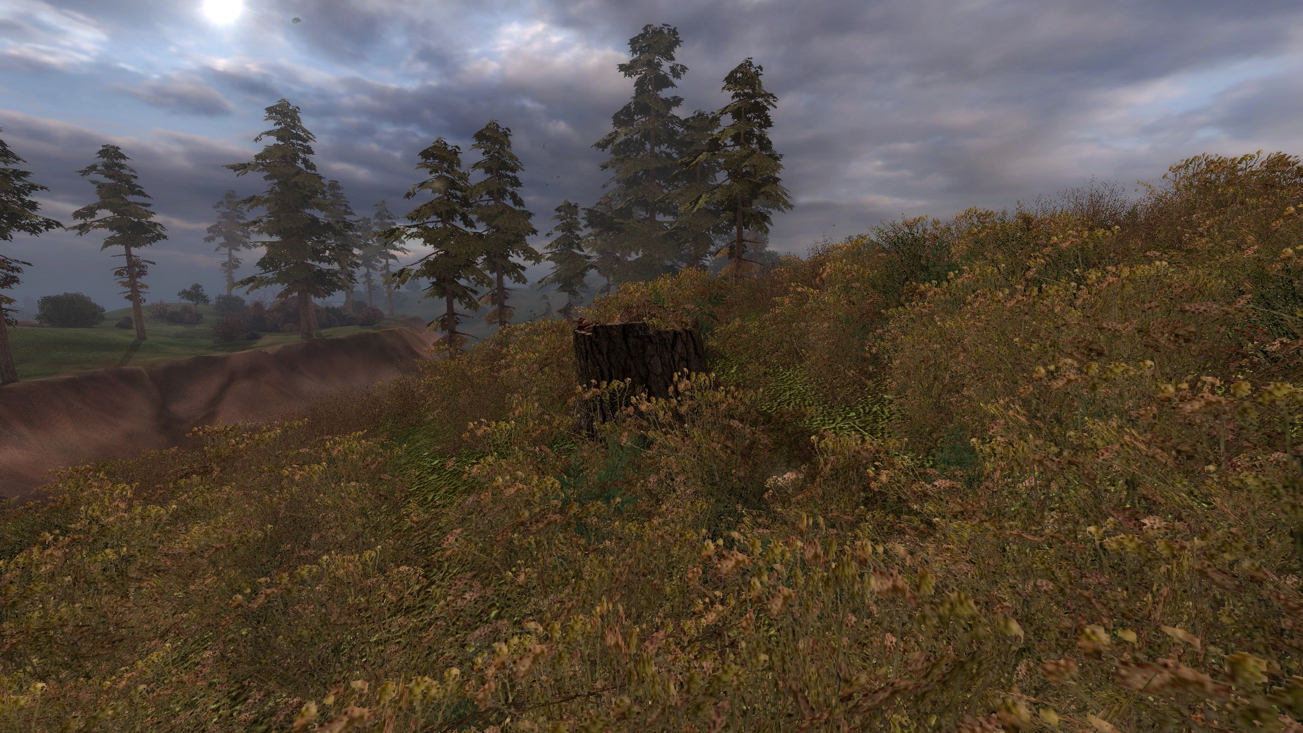 Stalker-cs_secret4_stash.png