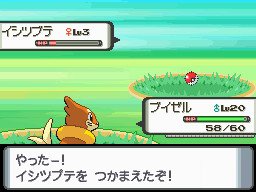 PKMNDP_GeodudeBattle2.jpg