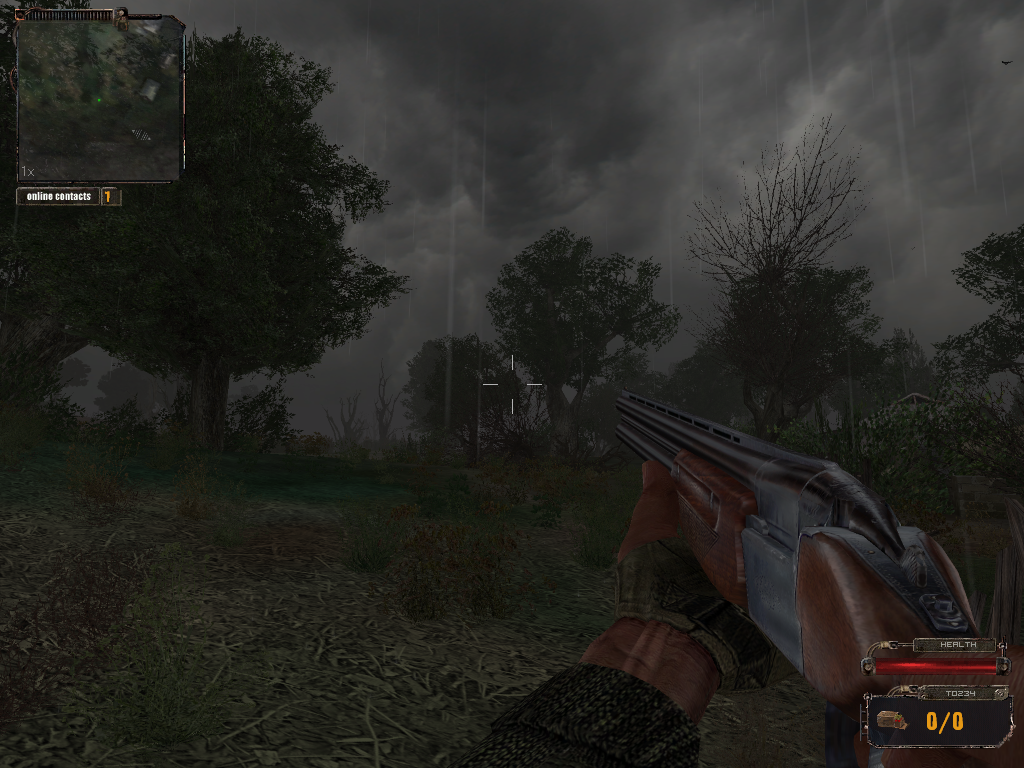 1st-person view 1st-person view