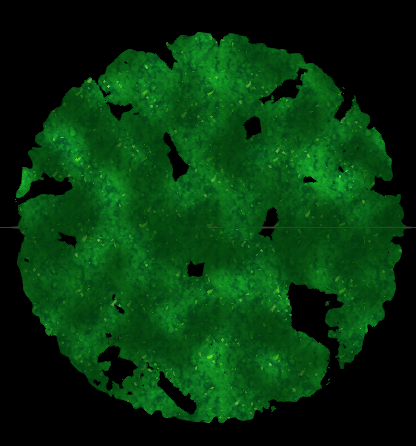AHatIntime_PuzzleArea_Ground_Circle_Holes(Material).png AHatIntime_PuzzleArea_Ground_Circle_Holes(Material).png