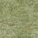 TFA2004_aircraftCarrierLevel_EasterIslandLeftovers_GRASS_SCRUFFY.png TFA2004_aircraftCarrierLevel_EasterIslandLeftovers_GRASS_SCRUFFY.png