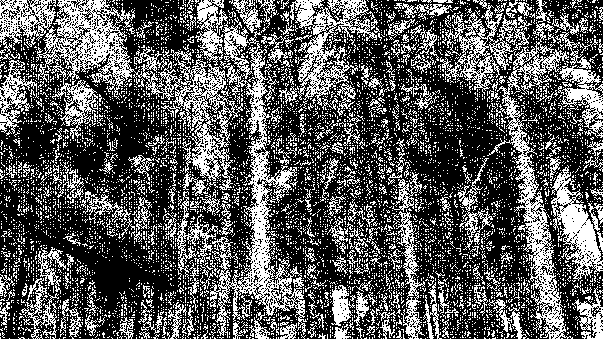 ext_canopy