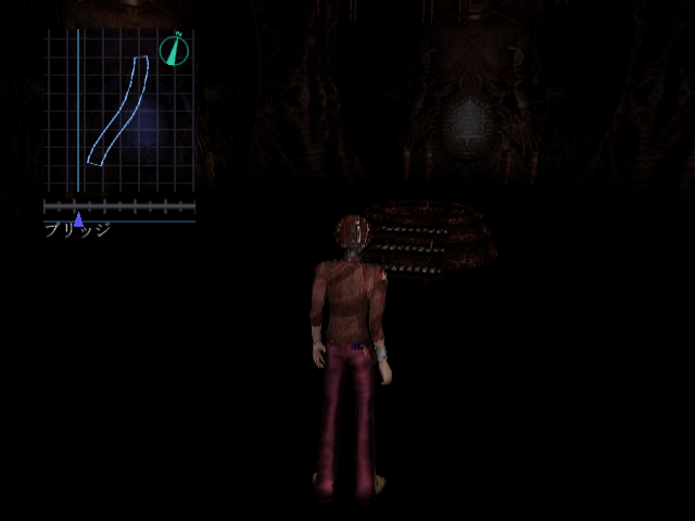 View of the room and Rion's texture