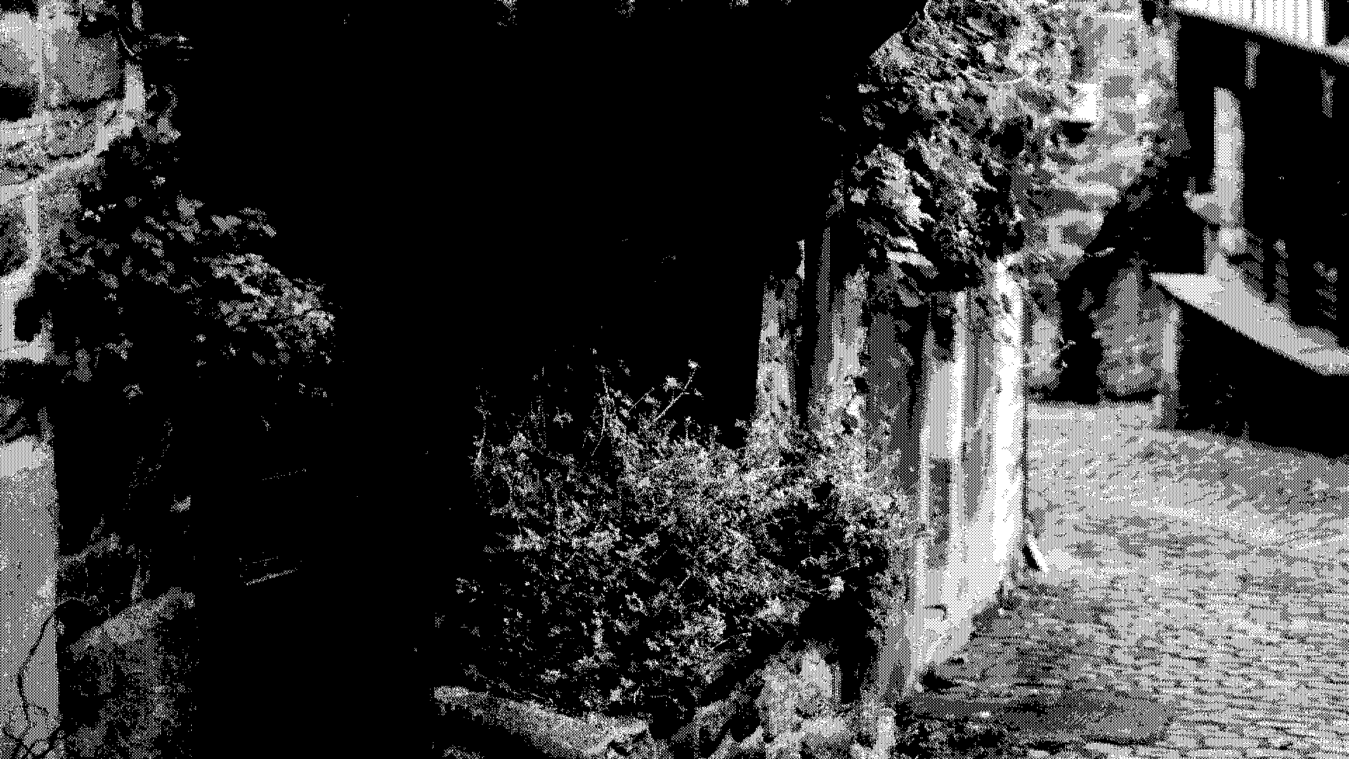 village_street3
