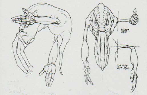 Slig anatomy drawings (left & front side)