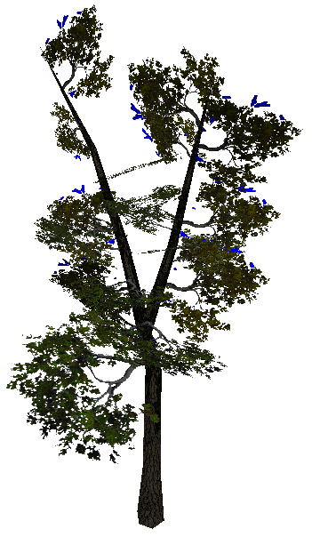 tree_btrunkv01.mdl tree_btrunkv01.mdl