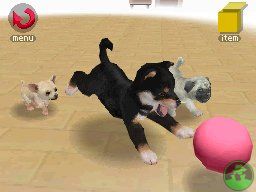NintendogsJanuary2005Screenshot10.jpg NintendogsJanuary2005Screenshot10.jpg