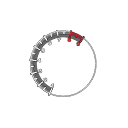 CMR04_ps2_demo_Dial_001.png